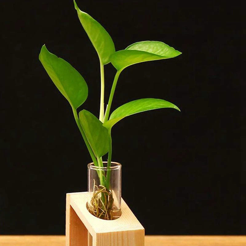 Хрустальная стеклянная пробирка ваза в деревянной подставке цветочные горшки для гидропоники растения для дома и сада украшения