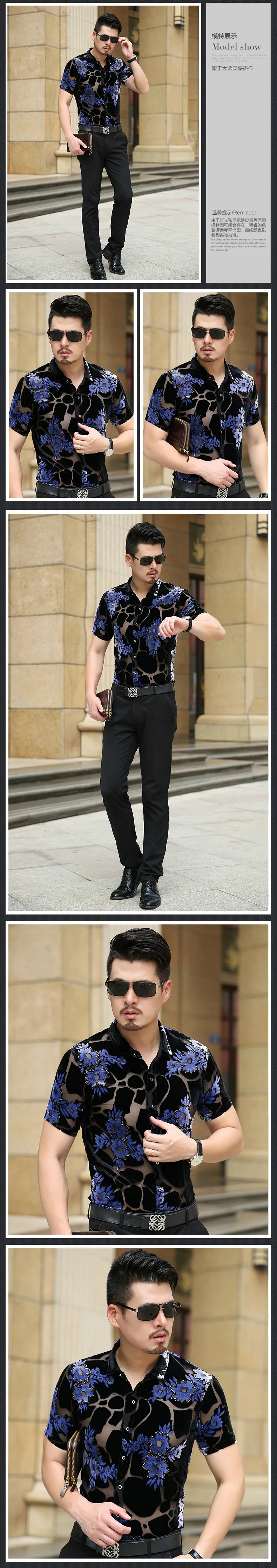 3986185313_2000716706