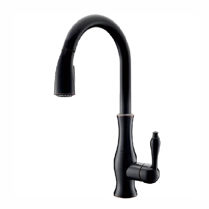 GOLD PULL OUT KITCHEN FAUCET (18)