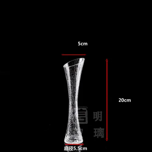 Домашний декор прозрачная стеклянная гидропонная ваза современная мода обеденный стол офисный стол Маленькая ваза - Цвет: 20cm