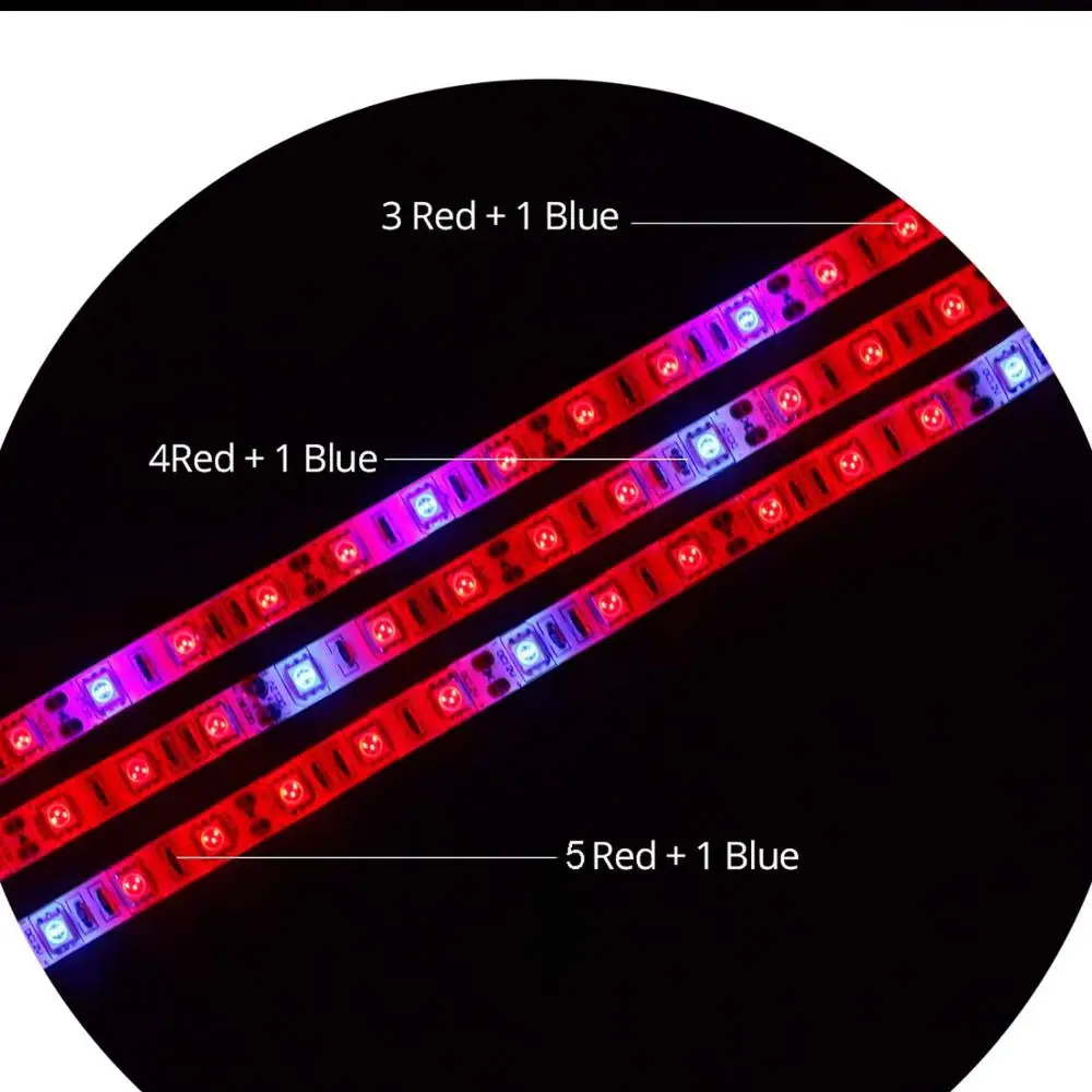 à prova d'água, conjunto com 5050 luzes,