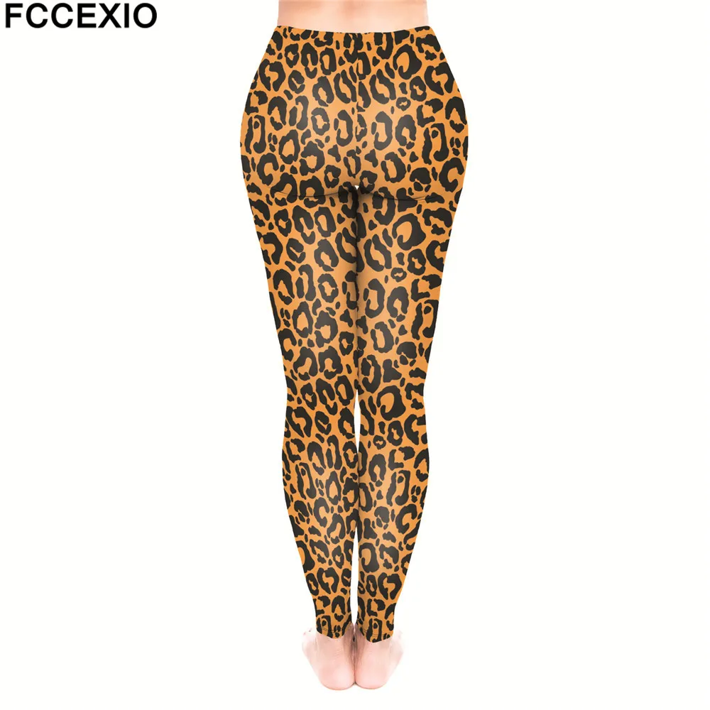 54640 orange panther (2)