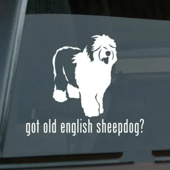

Got Old English Sheepdog Sticker Die Cut Vinyl - oes Car decal Size(inch): 6.00 x 5.19