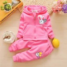 BibiCola/весенне-осенние комплекты одежды для маленьких девочек детские толстовки с капюшоном для девочек, пальто+ штаны, спортивный костюм из 2 предметов детский весенний спортивный костюм, наряды