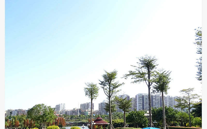 Verão ao ar Leve Portátil Shelter Praia Tenda Livre Jardim Sol Toldo Sombra Dossel Fácil Instalação Acampamento Pesca Caminhadas Sun 7 ao ar livre jardim sol toldo sol