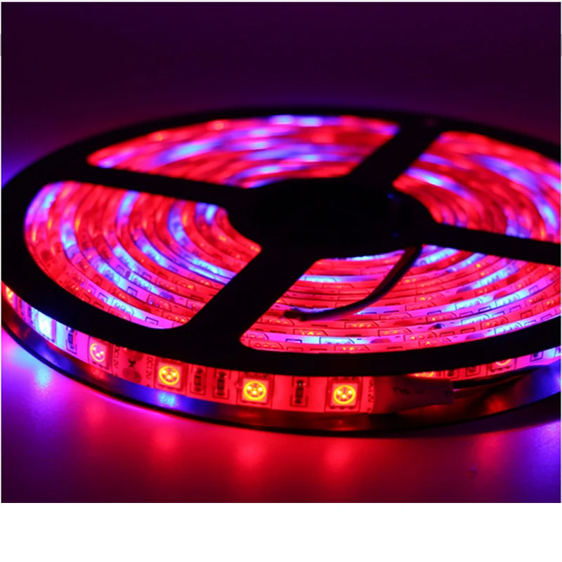 

LED Phyto Lamps Full Spectrum LED Strip Light 5050 SMD LED Fitolampy Grow Lights 60leds/m For Greenhouse Hydroponic plant DC 12V