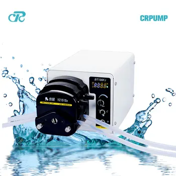 

Peristaltic Pump BT100FJ /2*YZ1515X via DHL for Quintessence BG Ltd.