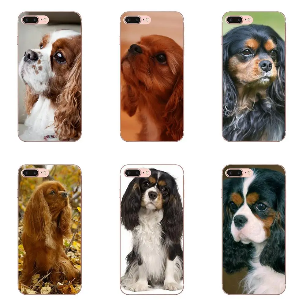 Щенки Bixedx Cavalier King Charles Spaniel для Huawei G7 Y6 II Y7 Xiaomi Redmi Note 2 3 5 Mi 4 4C 4I 5S 5X 6X