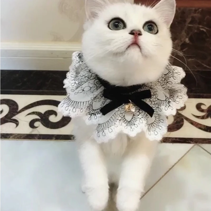 -1