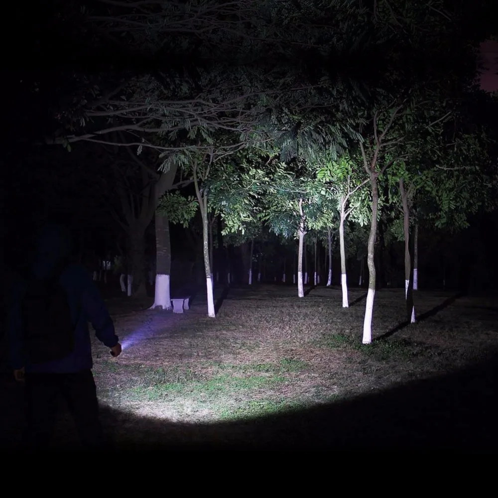 5543413425_838649559