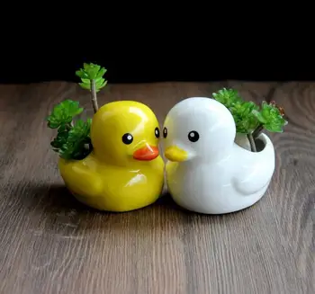 

Ceramic Duckling Flower Pot White Yellow Duckling Flowerpot Planter Succulents Plant Desktop Garden Glazed Pots for Flower