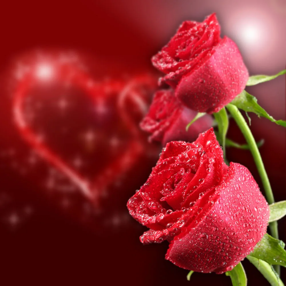 

8x8ft Valentine's day Vinyl Custom Photography Backdrops Prop Photo Studio Background QJ232
