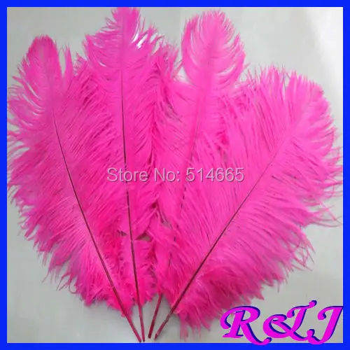 EMS Free shipping 100pcs 20 22 inches Cheap ostrich feather 50 55cm Hot