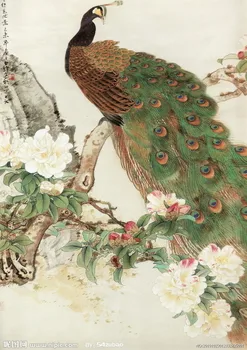 

DIY Unfinished 100% Mulberry Silk Suzhou Embroidery Patterns Sets Handmade Needlework Kits Camellia peacock 40*60cm