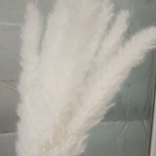 Натуральные Сушеные маленькие пампасы с травой, свадебные цветы 55 см в высоту для домашнего декора