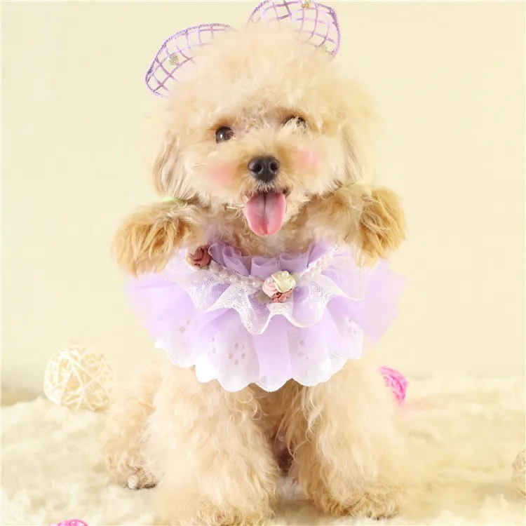 HTB1HHaRM7zoK1RjSZFlq6yi4VXao