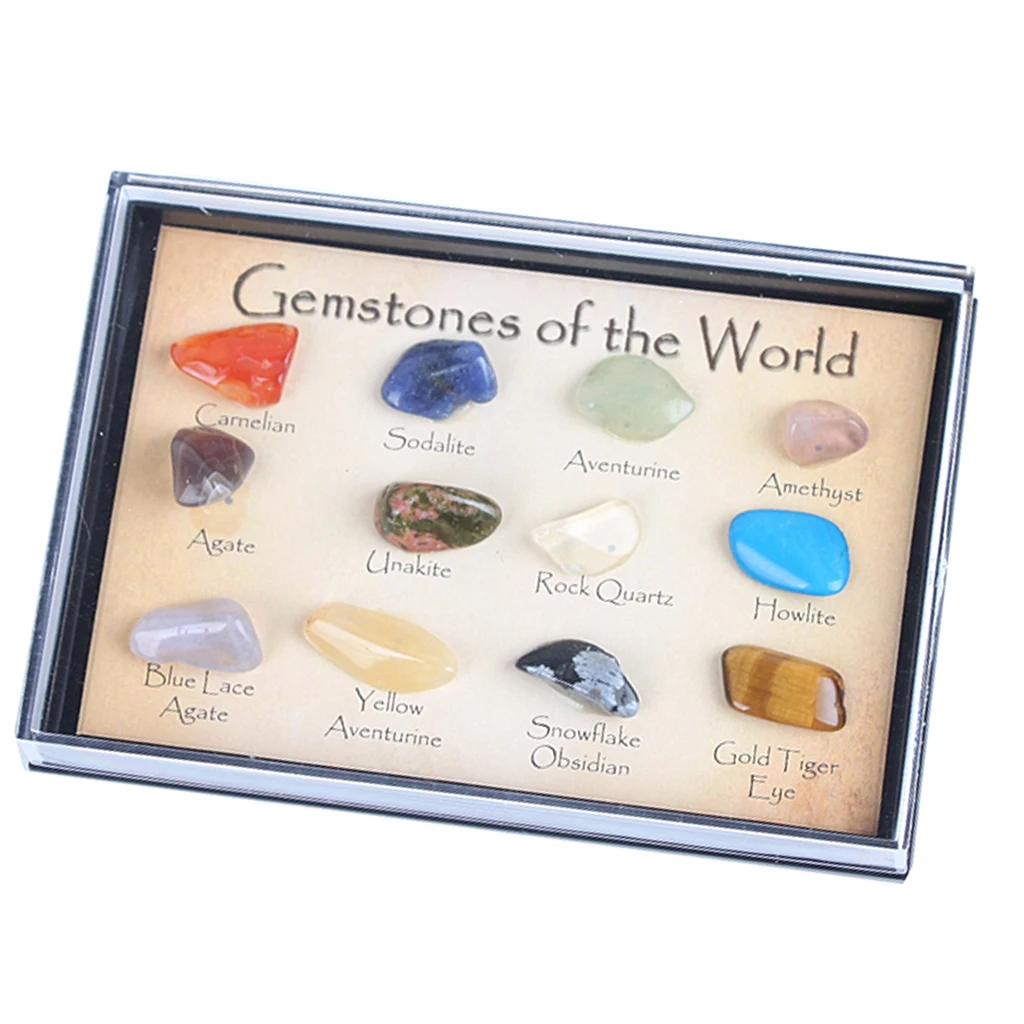 15pcs Educational Science Kit Rock Mineral Collection in a Display Case 