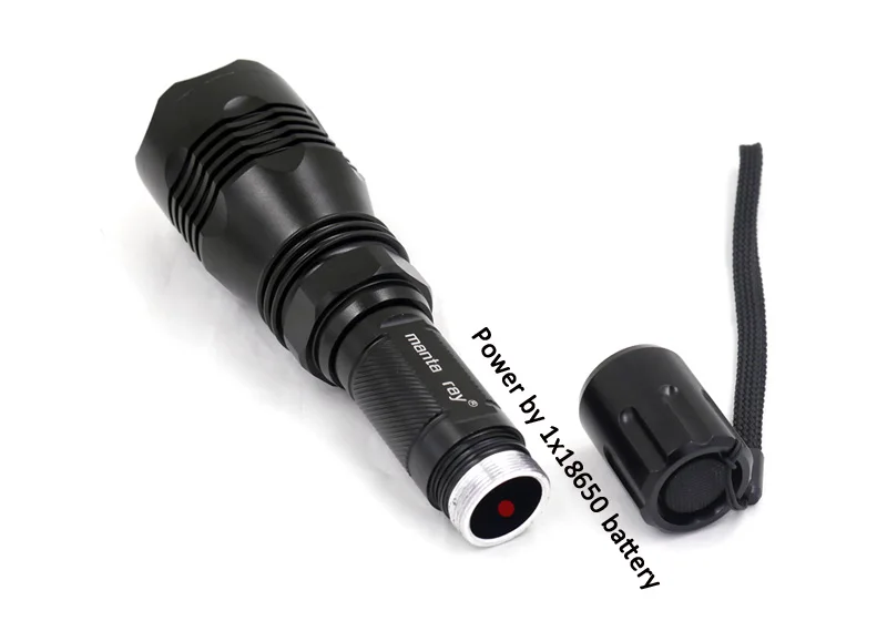 Manta Ray 802 (7)