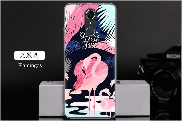  Flamingos