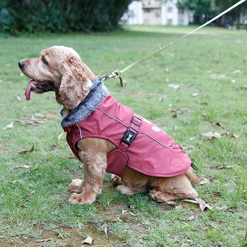 Dog Jacket Waterproof  (22)