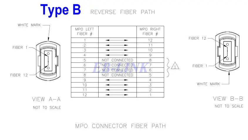 QSFP SR4.jpg