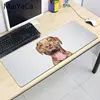 Computer Peripherals