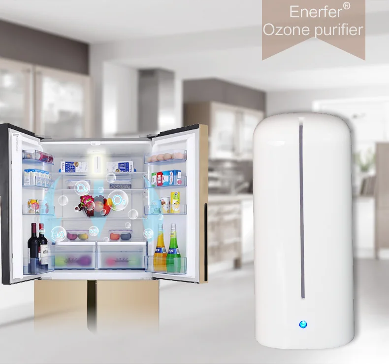 Enerfer(-01