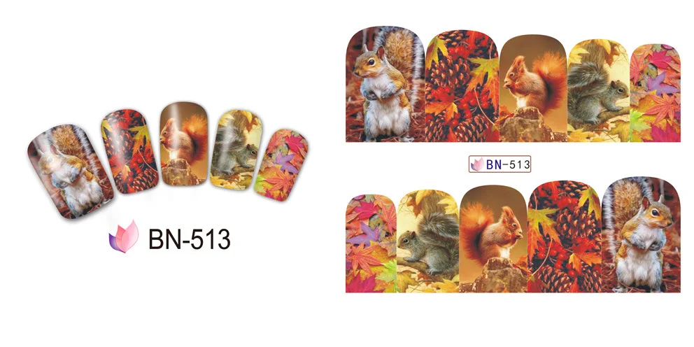 BN513