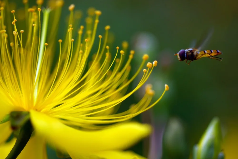 21233806_21233806_1369310555109