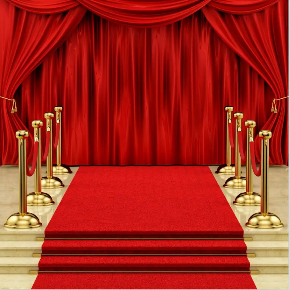 

SHANNY 10X10ft Vinyl Custom Photography Backdrops Digital Photo Studio Photography Background JTW-07