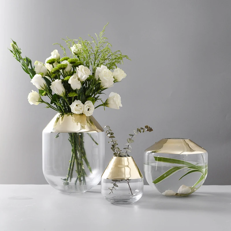 Nordic Luxurious Gold Plated Glass Vase Hydroponic Containers