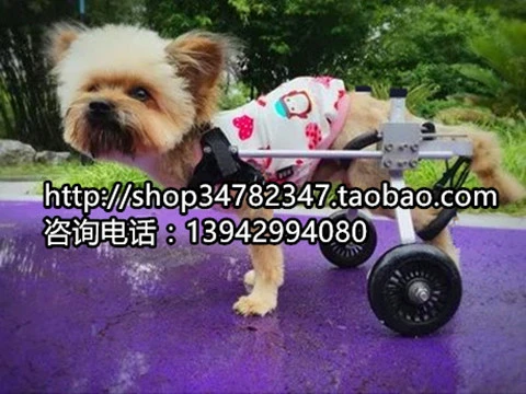 犬車椅子 ペット車いす 動物車椅子 犬スクーター 犬後肢ドライブ 犬後肢ホイール車椅子 Dog Wheelchair Wheelchair Dogscooter Scooter Aliexpress