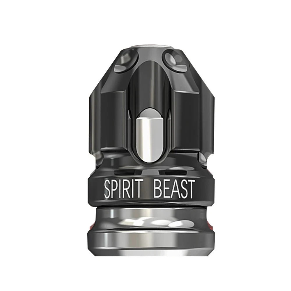 SPIRIT BEAST, автомобильные шины для мотоцикла, колпачок для клапанов, пылезащитный чехол для автомобиля, Стайлинг для универсальных автомобилей, декоративные для мотоцикла - Цвет: Серебристый