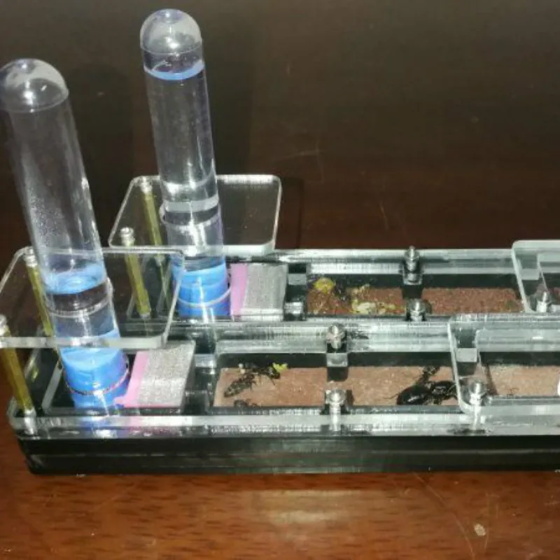 

1PCS Starting Point Runway Concrete Plane Ant Nest New Rear Small Group Ant Nest Acrylic Ant House