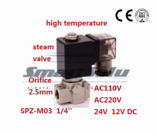 2 way SS304 пар высокой температуры горячей воды пилот поршневой электромагнитный клапан G1/4