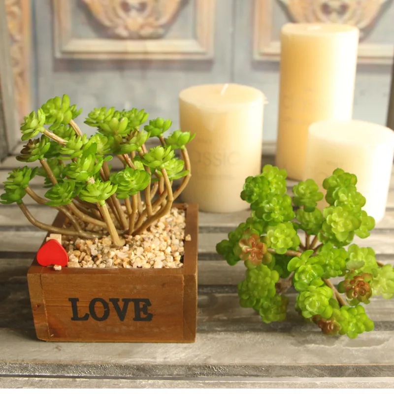 

Artificial Flower Simulation Plastic Meat Plant Potted Office Desktop Decoration Simulation Flower Small Potted Plant
