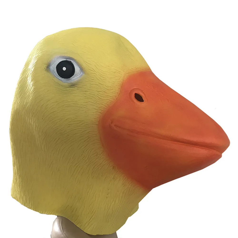 HTB1aQUxb56guuRjy0Fmq6y0DXXat