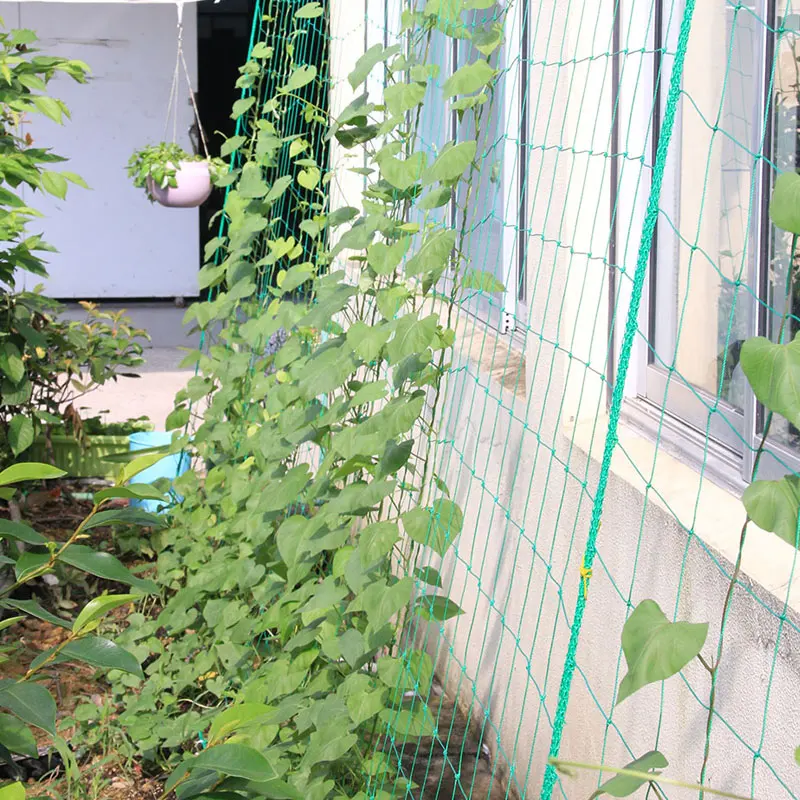

Plant Nets Nylon Trellis Netting Fruits Vining Vegetables Noylon 1.8*1.8M Garden Green Support Tool Mesh Grape Vine Grow Fence