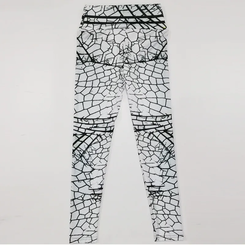 10297957952_1595654483