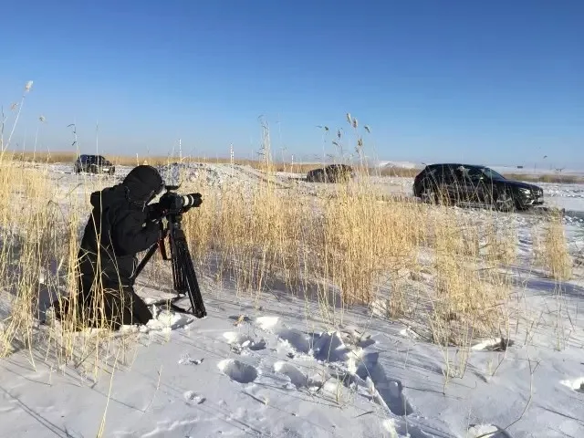 Терис V18T штатив-тренога из углеволокна видео Камера профессиональный штатив с панорамной головкой нагрузка 18кг для красный Tilta Камера буровая установка