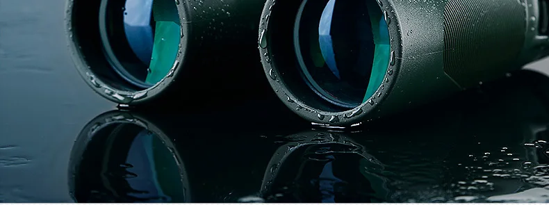 10x42 binoculars
