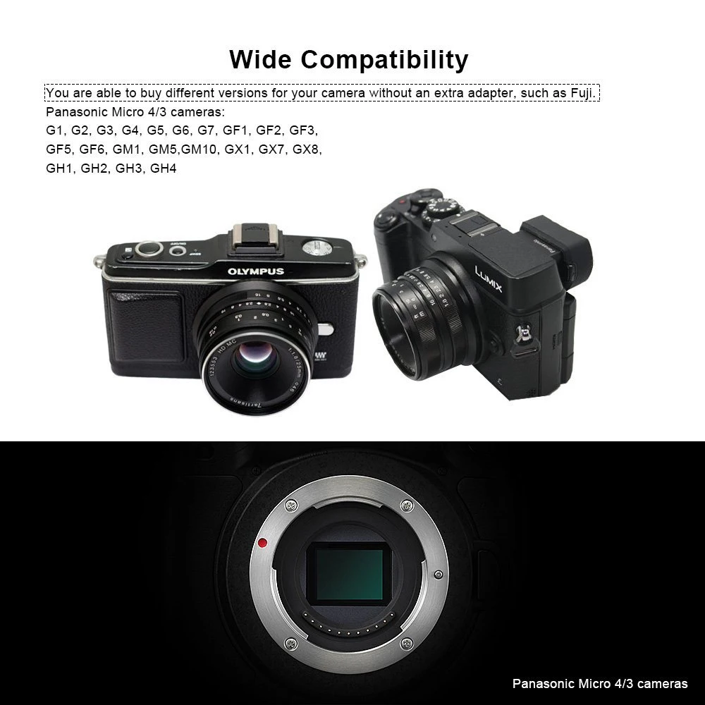 Fuji-Panasonic