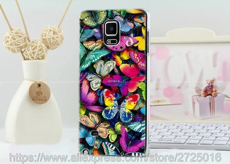 butterfly-2