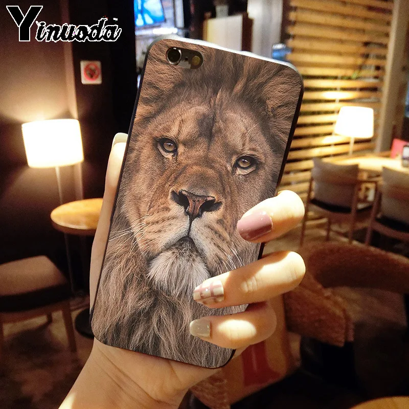 ASLAN LION THE CHRONICLES 