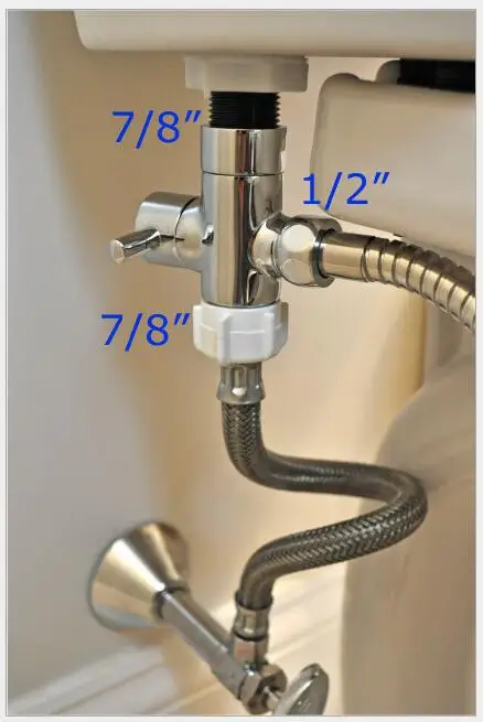 3733928172_23834002
