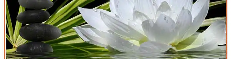 3d dimensional embroidery flower series white water stone lily wall diamond painting rack for drill cross stitch mosaic picture1795_05