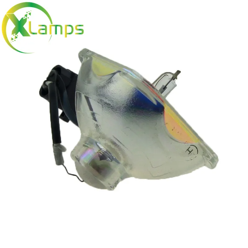 ELPLP541