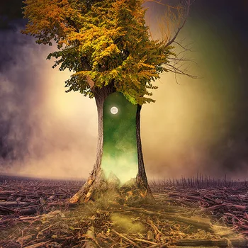 

CAMMITEVER Diamond Embroidery Diamond Painting Landscape Tree Diamond Painting Cross Stitch Rhinestone Mosaic