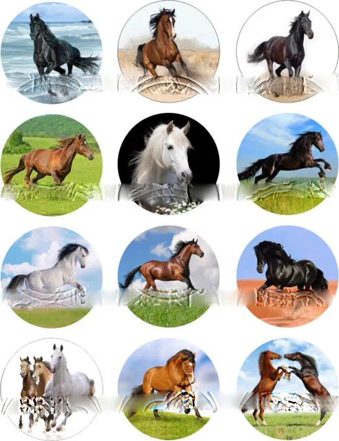 12pcs-lot-high-quality-animal-cat-dog-horse-18mm-Snap-Button-Jewelry-Glass-Charms-Fit-DIY.jpg_640x640
