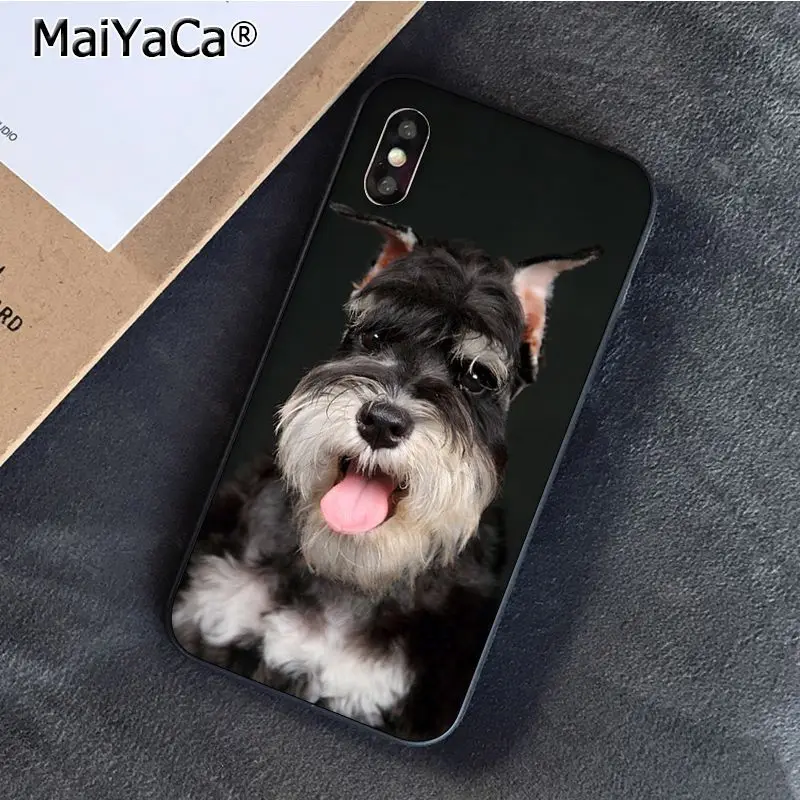 Schnauzer Puppy dog Art
